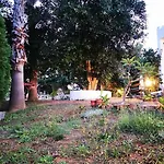 Nyaraló Irene