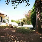 Nyaraló Irene