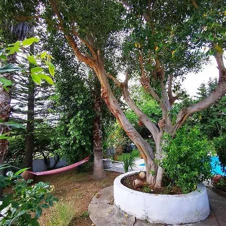 Irene Holiday home