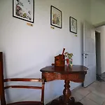 Irene *
